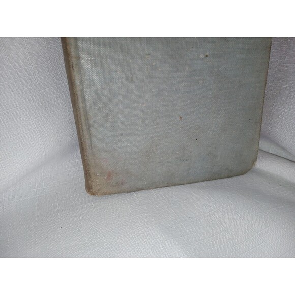 1929 Hunchback House by Donald B Hobart VERY RARE 1ST EDITION - Picture 3 of 11